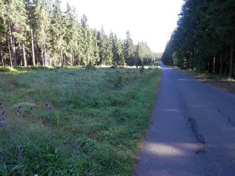 Foto 59